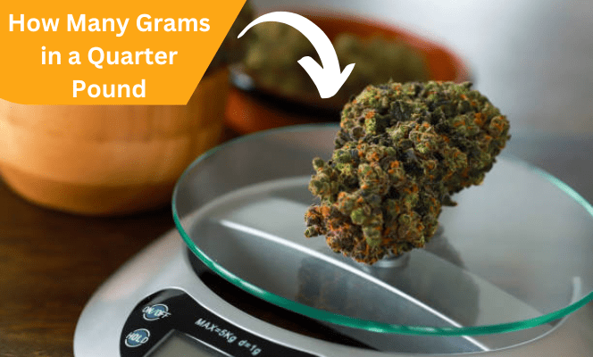 How Many Grams in a Quarter Pound: a Comprehensive Guide