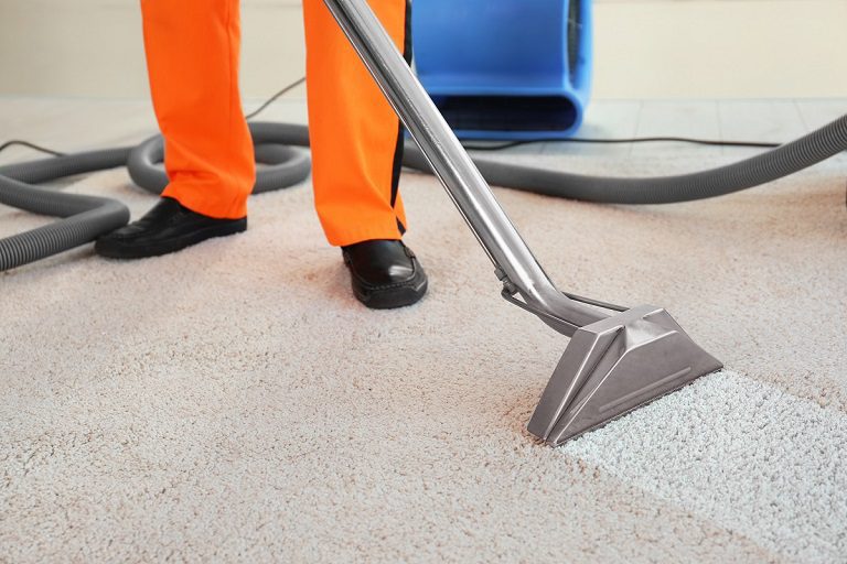 The Importance of Expert Carpet Cleaning Services in Avon, Co