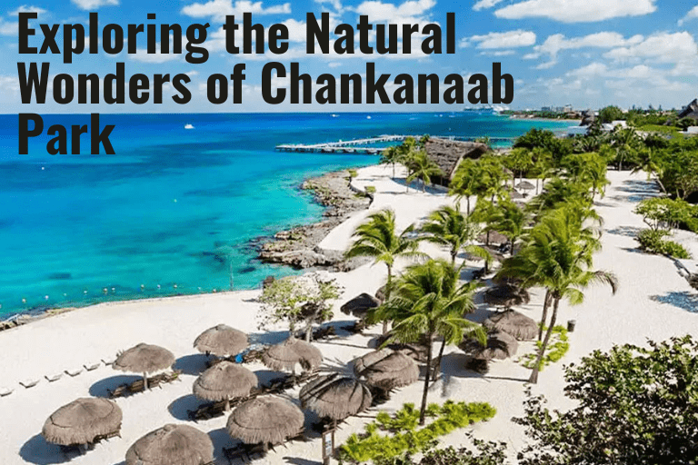 Exploring the Natural Wonders of Chankanaab Park: A Caribbean Paradise