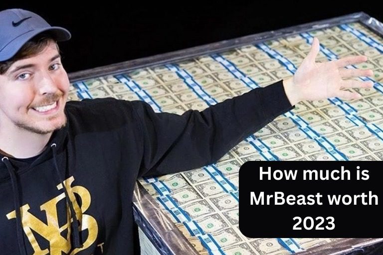 Mr. Beast Net Worth Analysis 2023: Unveiling the Wealth of the   Sensation