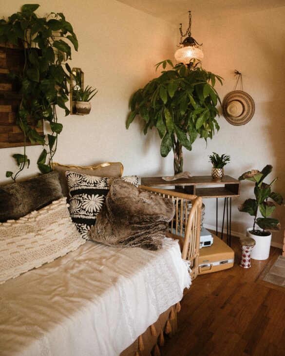 plants living room