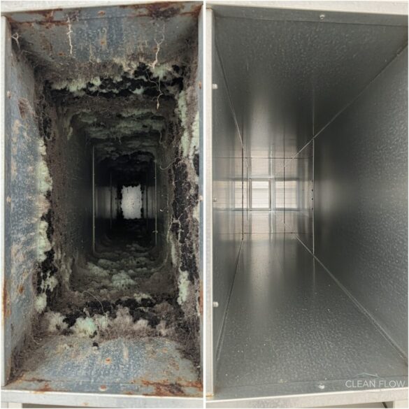 ai generated 1773142362 0 1